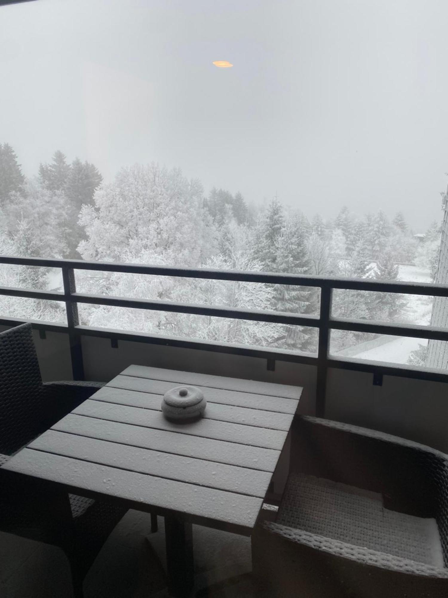 Apartment Bergluft Winterberg Am Bikepark, Skilift, Ssc מראה חיצוני תמונה